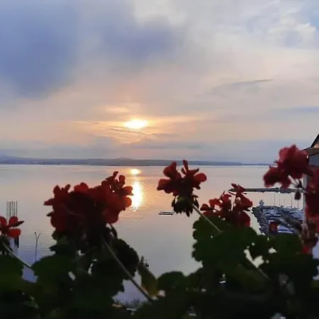 Orion Guest House 3*