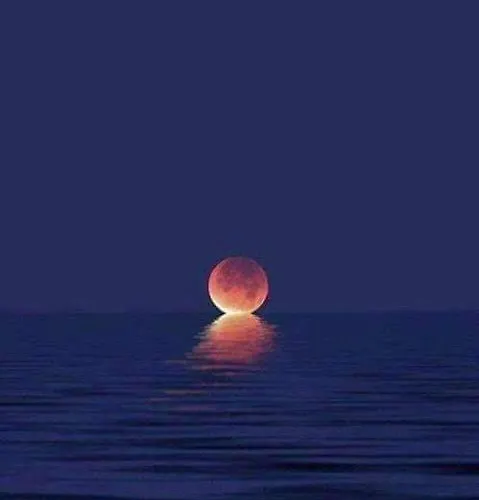 欧利恩酒店 3* 索佐波尔